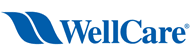 Physical Therapy providers: Staywell, WellCare 